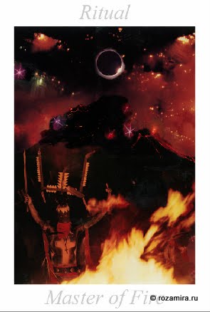 Nature Tarot by Jan Strube